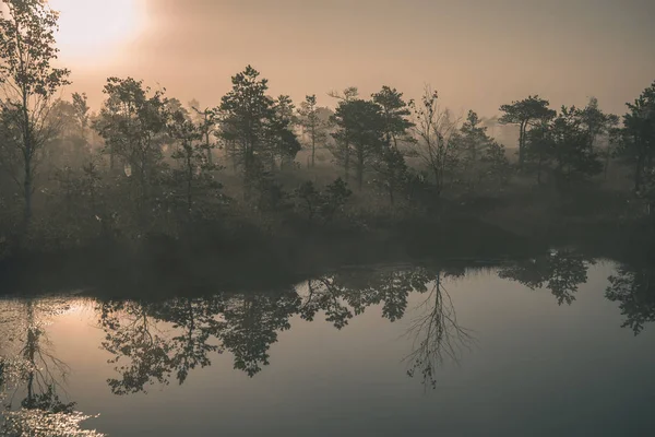 Nascer Sol Com Névoa Área Pantanosa Pântano Com Reflexos Árvores — Fotografia de Stock