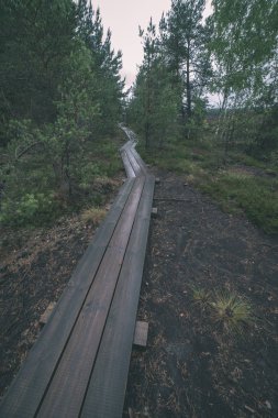 Ahşap tahta patika boardwalk bataklık alan rekreasyon turistler ormandaki için