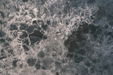 dondurulmuş doğa ayrıntılar. ağaç dalları ve çim kar ve buz - retro vintage film bak