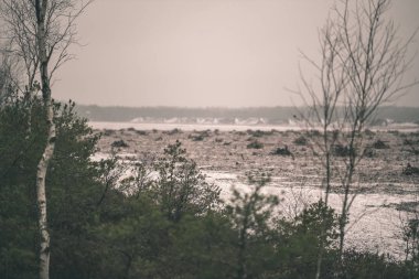 karanlık bulutlu gökyüzü altında kışın alanları kırsal manzara kar kaplı