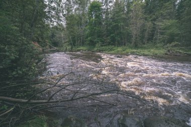 hızlı Amata nehirde yeşil orman. Amata Letonya