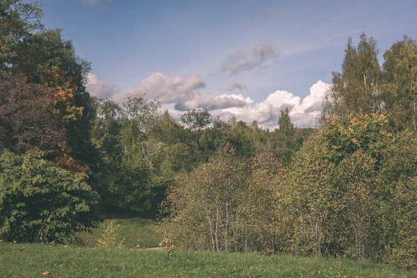 Countryside Landscape Fields Woods Blue Sky Summer — Stock Photo, Image