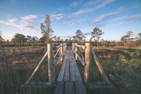 Drewniane Deski Boardwalk Bagno Obszar Jesień Perspektywie — Zdjęcie stockowe