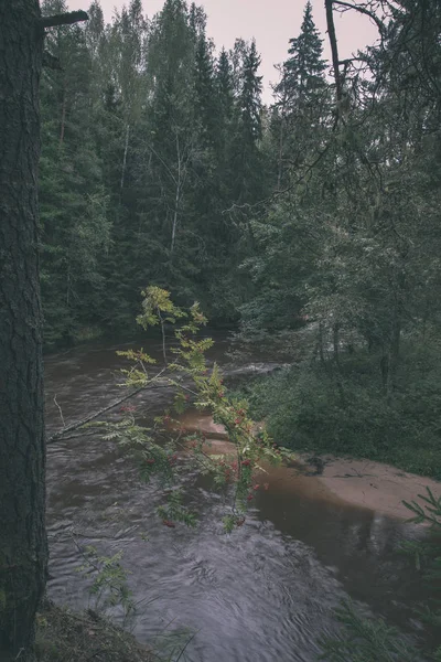 快速阿马塔河在绿色的夏季森林 拉脱维亚 — 图库照片