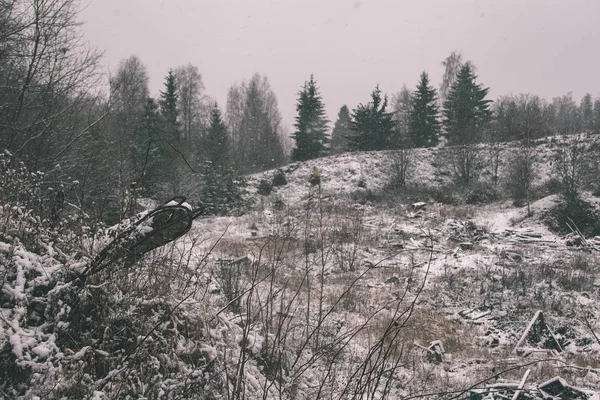 Paesaggio Campagna Con Campi Alberi Coperti Neve Lettonia — Foto Stock