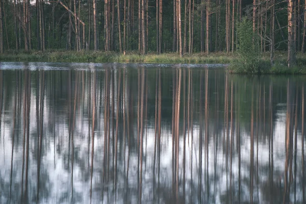 Reflexionen Von Bäumen Ruhigen Seewasser Bei Sonnenuntergang — Stockfoto