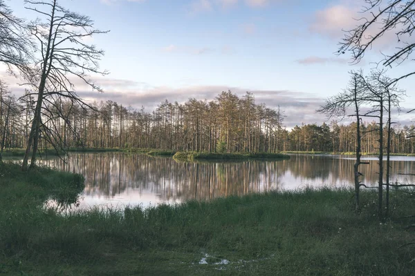 Późnym Wieczorem Słońce Nad Jeziora Lecie Odbicia Drzew Spokojnej Wodzie — Zdjęcie stockowe