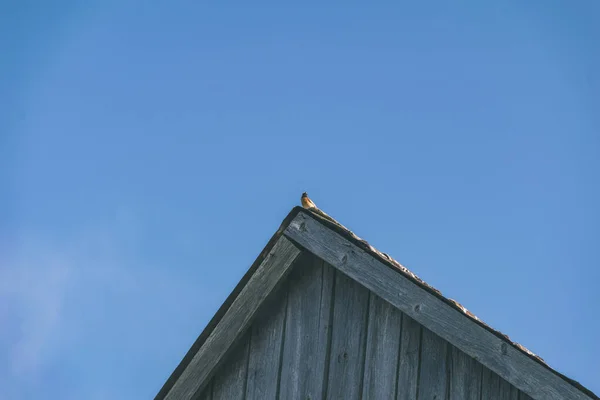 Landhaus Dach Mit Schornstein Auf Blauem Himmel Hintergrund — Stockfoto