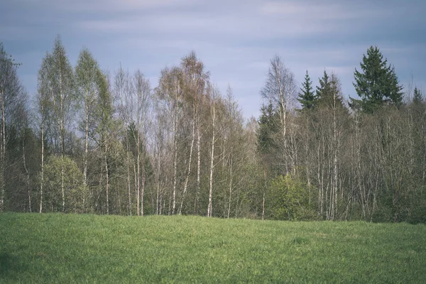 Zwykły Countryside Krajobraz Wiosną Świeżych Zielonych Łąk Lasów — Zdjęcie stockowe