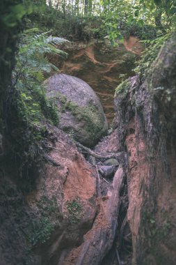 Yaz orman kumtaşı kayalıklarla görünümünü