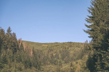 yamaçlarda mountains, Slovakya için büyüyen Ladin