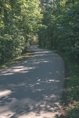 Yaz aylarında ormandaki dalgalı yol asfalt