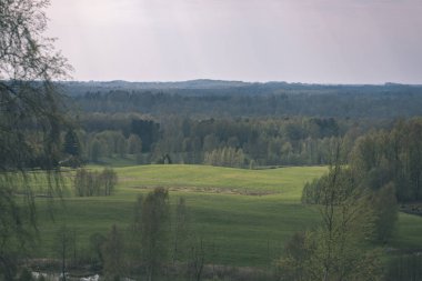 düz kırsal bahar yatay, taze yeşil çayır ve orman