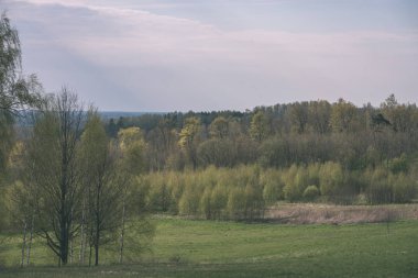 düz kırsal bahar yatay, taze yeşil çayır ve orman