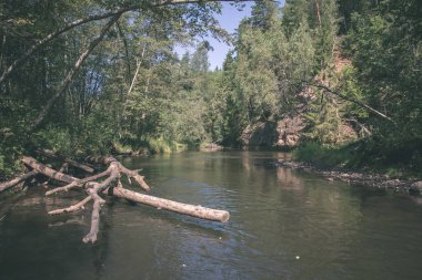 yaz günü suda kumtaşı kayalıklarla ve kuru ağaç ormanları içine Nehri sakin