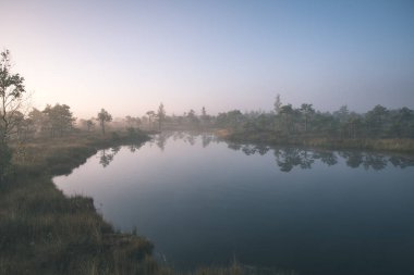 gündoğumu ile bataklık bataklık alan ağaçların su yansımaları ile siste