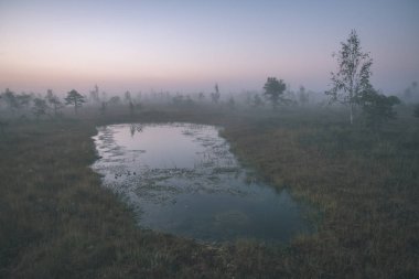 küçük su birikintisi ile bataklık bataklık bölgede sis ile gündoğumu