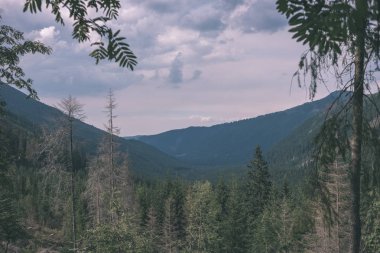 güzel Tatra Dağları ve ağaçların altında bulutlu gökyüzü, Slovakya