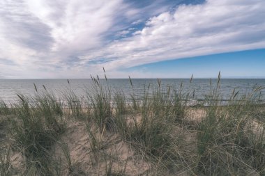 boş deniz plaj kum tepeleri ve güzel gökyüzü