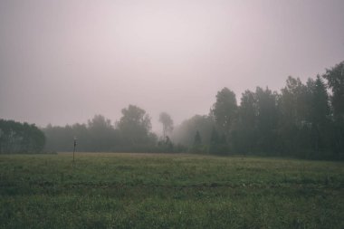 puslu kırsal manzara bulutlu gökyüzü altında