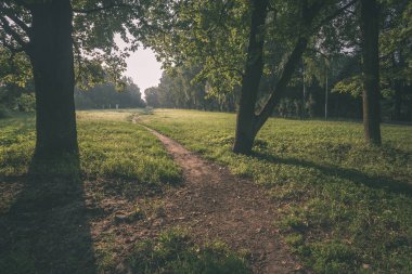 Yaz kırsal Park kırsal yolu
