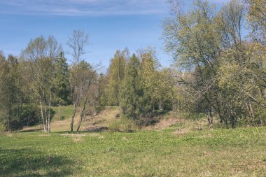 düz basit kırsal bahar yatay, taze yeşil çayır ve orman