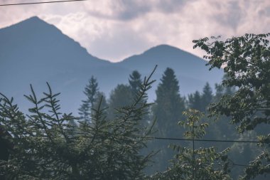 güzel Tatra Dağları ve ağaçların altında bulutlu gökyüzü, Slovakya