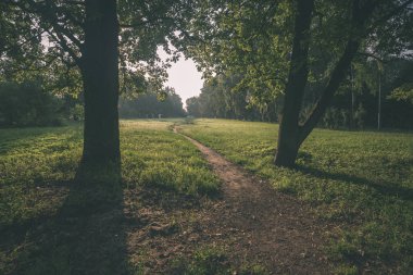 Yaz kırsal Park kırsal yolu