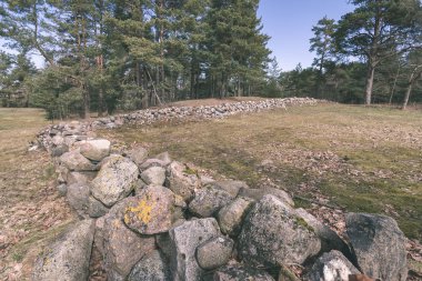 yeşil yaz forest yakınındaki kayalık kaya