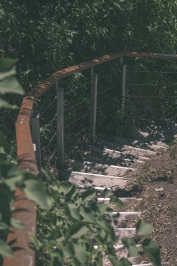 yeşil güneşli yeşillik merdiven görünümünü