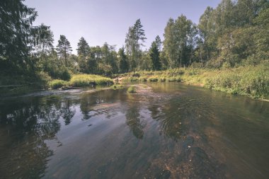 nehir, Amata Letonya yaz yeşil yeşillik ile su akışı