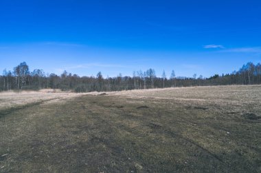 kırsal alanları ve ormanları sonbaharda açık gökyüzü altında peyzaj