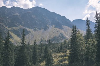 güzel Tatra Dağları ve ağaçların altında mavi gökyüzü, Slovakya