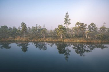 Bataklık bataklık alan ile küçük su birikintisi açık gökyüzü altında