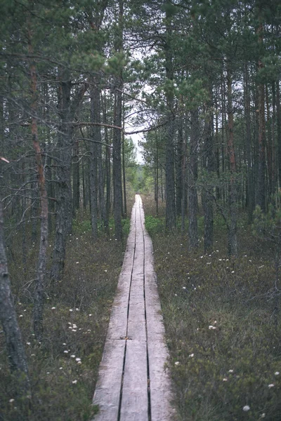 森林のレクリエーション観光客のための湿地の木の板歩道遊歩道 — ストック写真
