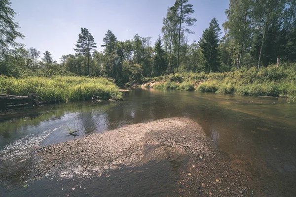 Arroyo Agua Río Amata Letonia Con Follaje Verde Verano — Foto de Stock