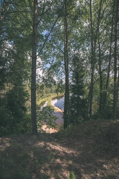 Vandringsleden Spåra Sommar Skog Med Grönt Bladverk Solljus — Stockfoto