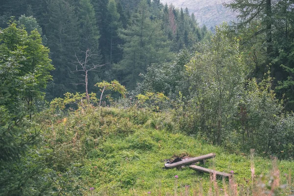 Yaz dağlarda herdem yeşil orman manzara