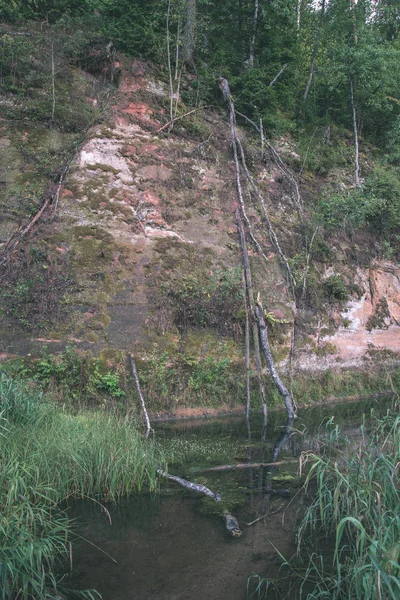 Belles Falaises Grès Bois Sur Les Rives Rivière Calme Amata — Photo