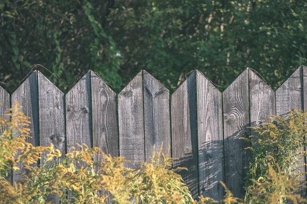 Cerca Madera Vieja Verano Con Follaje Verde —  Fotos de Stock