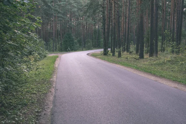 Asfaltowa Droga Falisty Lesie Latem — Zdjęcie stockowe