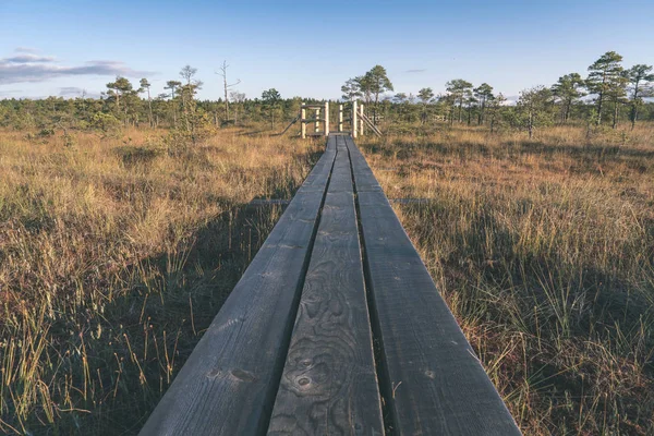 Lungomare Legno Zona Palude Autunno Prospettiva — Foto Stock