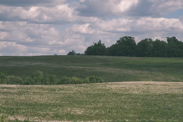 Countryside Krajobraz Pól Lasów Pod Zachmurzonym Niebie — Zdjęcie stockowe