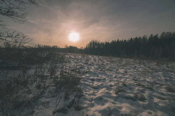 Сельский Пейзаж Полями Покрытыми Снегом Деревьями Закате Латвии — стоковое фото