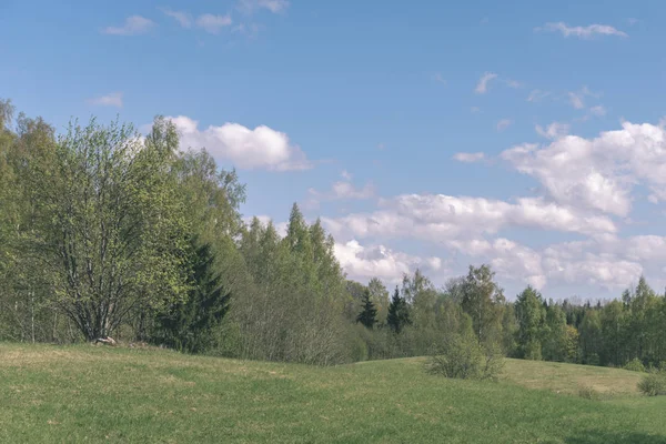 新鮮な緑の牧草地と森林とプレーンのシンプルな田舎の春の風景 — ストック写真