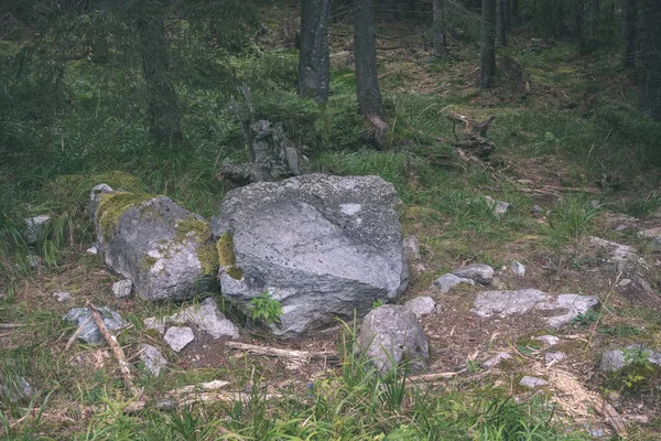 Άποψη Του Τραχιά Βράχους Φθινοπωρινό Δάσος — Φωτογραφία Αρχείου