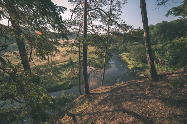 Ruisseau Eau Dans Rivière Amata Lettonie Avec Forêt Sur Les — Photo