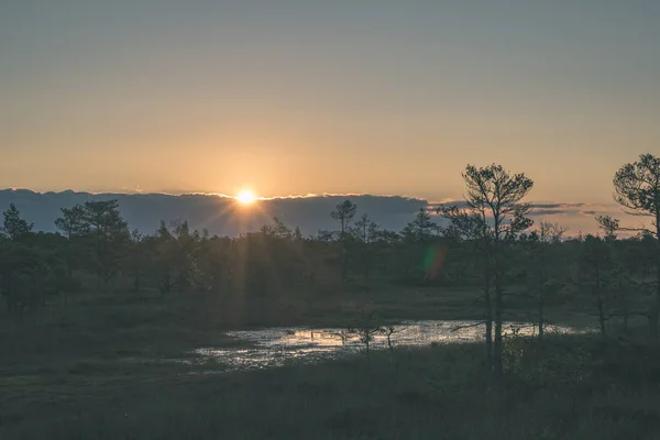 Landschap Van Moerasgebied Herfst Zonsondergang — Stockfoto