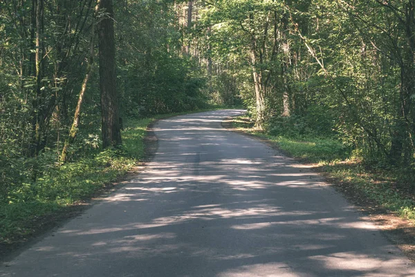 Route Ondulée Asphaltée Forêt Été — Photo