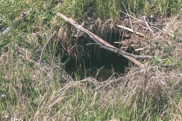 Kleiner Bach Und Vegetation Den Ufern Der Landschaft — Stockfoto